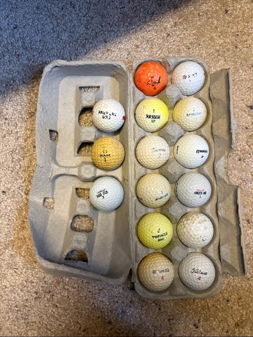 Shag Golf Balls